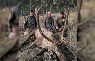 Eski belde belediye başkanın avladığı geyiğe...