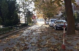 Eskişehir’de sonbahar güzelliği