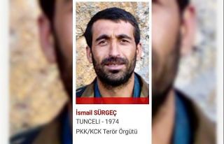 Etkisiz hale getirilen kırmızı kategorideki teröristin...