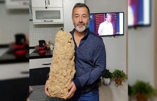 Evin içindeki dev yaban arısı yuvası görenleri...