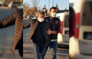 Evinde bonzai ele geçen şahıs tutuklandı