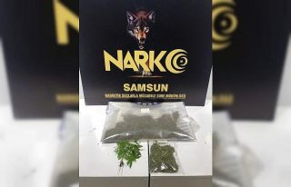 Evinde bonzai ve esrarla yakalandı