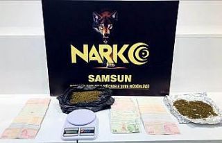 Evinde satışa sunduğu yarım kilo bonzai ile yakalandı