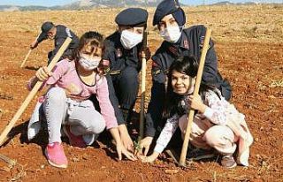 Fidanlar toprakla buluştu