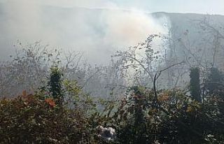 Fındıklık yangını kısa sürede söndürüldü