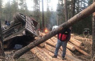 Freni boşalan kamyondan atladı, tomrukların altında...