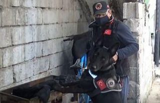 Gaziantep’teki dev operasyonda kebap mangalında...