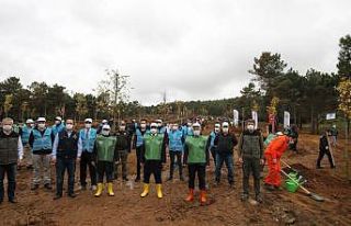 Gaziler Dağı Tabiat Parkı’nda ağaç dikim etkinliği...