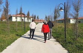 Geçici Hayvan Bakımevi denetlendi