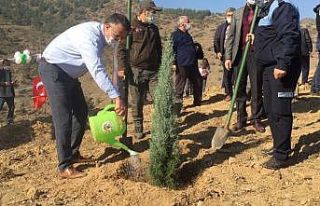 Gelecek için fidan diktiler