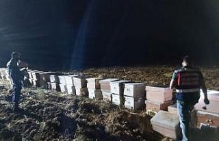 Genç girişimcinin 90 kovan arısından 30’u telef...
