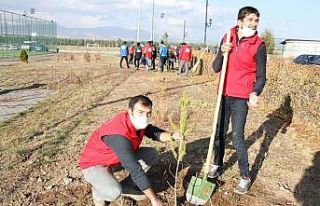 Gençler Atatürk için fidan dikti
