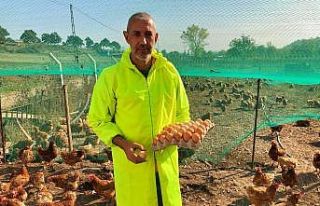 Gezen tavuk yumurtalarına ilgi büyük