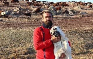 Göçerlerin zorlu dönüş yolculuğu devam ediyor