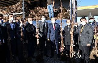Gölbaşı’nda çiftçilere hurma fidanı