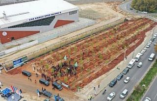 Göllüce’ye orman, Yalangoz’a lavanta bahçesi