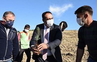 Güldünya’nın ismi Toroslar’da yaşayacak