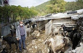 Gündoğmuş’ta üreticilere eğitim verildi