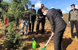 Gürsu’da fidanlar toprakla buluştu