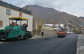 Hakkari Belediyesi çalışıyor şehir güzelleşiyor