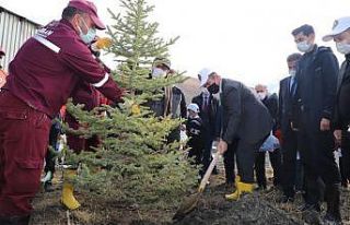 Hakkari’de 10 bin fidan toprakla buluşturuldu