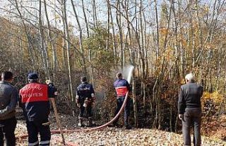 Hakkari’de orman yangını