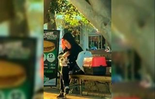 Hamster’e tokat ve ısırık cezasız kalmadı