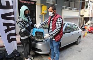 Hasta kedinin yardımına İlkadım ekipleri koştu