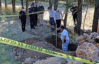 Hastalanınca uyutulup gömülen Çin Aslanı cinsi...