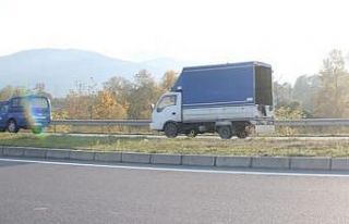 Hastalıklı ineği keserek etlerini parçalayan 3...