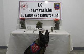Hatay’da uyuşturucu operasyonu: 1 tutuklama