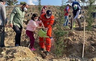 Hatay’da yanan ormanlık alanlar fidanlarla buluştu