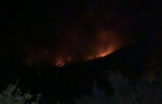 Hatay’daki orman yangını kontrol altına alındı