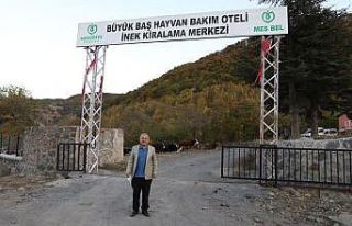 ‘Hayvan Bakım Oteli’ talebe yetişemiyor