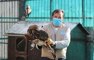 Hayvanat bahçesinde kış hazırlıkları başladı