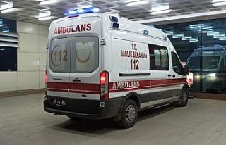 Hayvanın teptiği kadın yaralandı