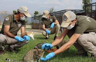 Hayvanları koruma polisleri göreve başladı