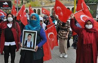 HDP’li vekil ve partililer, çocukları dağa kaçırılan...