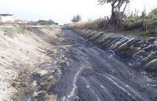 Hem kokudan hem taşkın riskinden kurtuldular