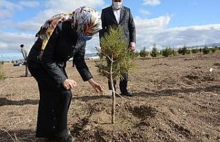 Her can için bir fidan