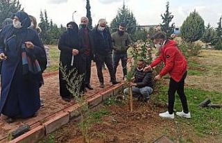 Her şehit için bir fidan toprakla buluşturuldu
