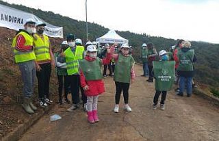 Heybeliada’da yanan ormanlık alana yüzlerce fidan...