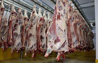 Hijyenik koşullarla mezbahada et kesimlerine devam...