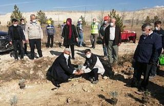 Hisarcık’ta maden sahaları lavanta kokacak