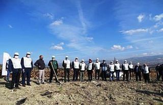 Hisarcık’ta yanan orman alanı ağaçlandırılıyor