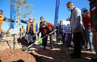 Huzurlu nesiller için şehir yeşillendiriliyor
