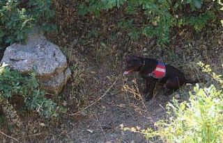 İçişleri Bakanlığınca Bitlis’te ’Yıldırım-15...