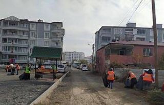 Iğdır’da Cadde ve Sokak temizliği