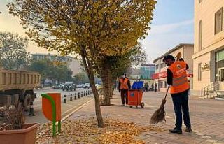 Iğdır’da sonbahar temizliği