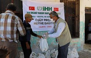 İhtiyaç sahibi Suriyeli ailelere meyve